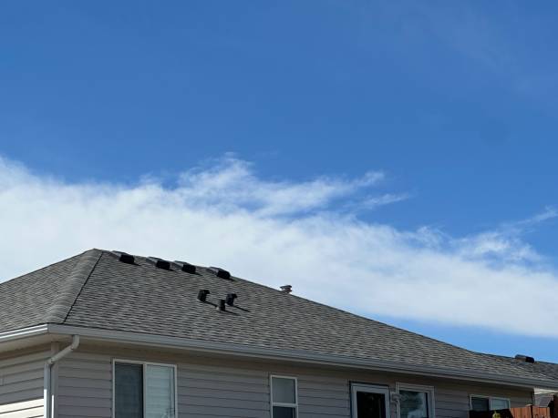 Best Asphalt Shingles Roofing  in Box Elder, SD